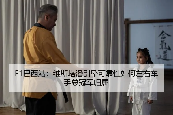 F1巴西站：维斯塔潘引擎可靠性如何左右车手总冠军归属